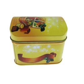 China Rectangle Treasure Tin Box Metal Cookie Tin Box With Lid Walmart Cookie Tin Box supplier