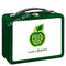 Food Storage Apple Printed Lunch Tin Box With Plastic Handle / Metal Lock supplier
