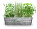 Metal Tin Bucket Rectangular Flower Vegetables Plants Herbs Growing supplier